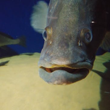 マリンワールド海の中道に投稿された画像（2021/1/31）