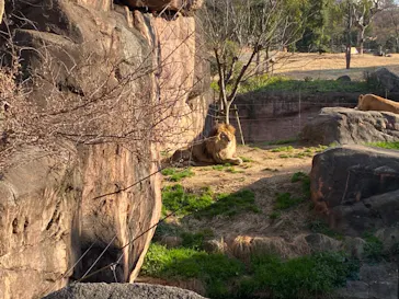 天王寺動物園に投稿された画像（2021/1/31）