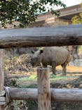 天王寺動物園に投稿された画像（2021/1/31）