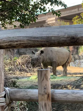 天王寺動物園に投稿された画像（2021/1/31）
