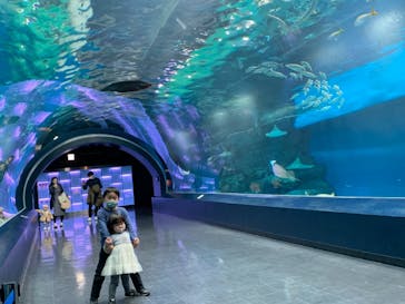 マクセル アクアパーク品川に投稿された画像（2021/1/31）