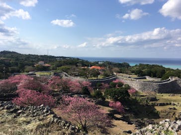 今帰仁城跡に投稿された画像（2021/1/31）