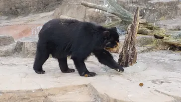 天王寺動物園に投稿された画像（2021/1/31）
