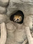 東武動物公園に投稿された画像（2021/1/31）