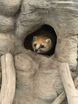 東武動物公園に投稿された画像（2021/1/31）