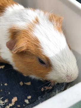 東武動物公園に投稿された画像（2021/1/31）