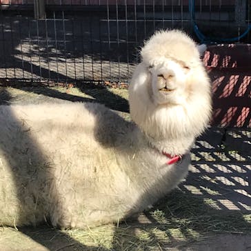 東武動物公園に投稿された画像（2021/1/31）