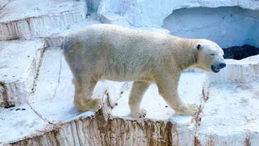 天王寺動物園に投稿された画像（2021/1/31）