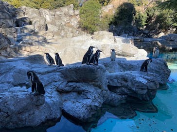 よこはま動物園ズーラシアに投稿された画像（2021/1/31）
