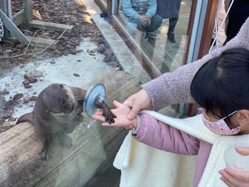 横浜・八景島シーパラダイスに投稿された画像（2021/1/31）
