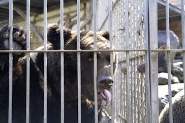 阿蘇カドリー・ドミニオンに投稿された画像（2021/2/1）