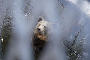 阿蘇カドリー・ドミニオンに投稿された画像（2021/2/1）