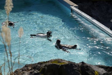 阿蘇カドリー・ドミニオンに投稿された画像（2021/2/1）