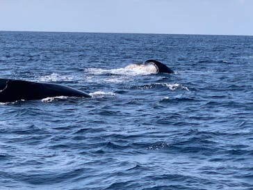 スカイウォーカーに投稿された画像（2021/2/1）