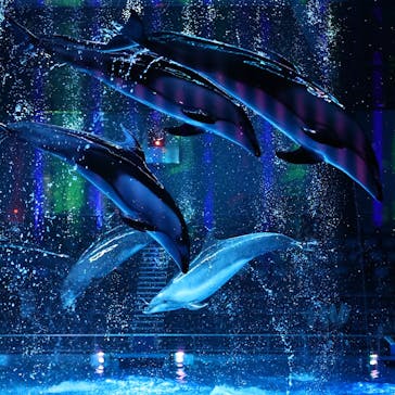 マクセル アクアパーク品川に投稿された画像（2021/2/1）