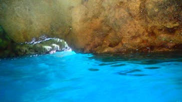 ダイビングショップ Sea Free（シーフリー）に投稿された画像（2021/2/1）