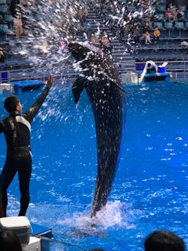 マクセル アクアパーク品川に投稿された画像（2021/2/1）