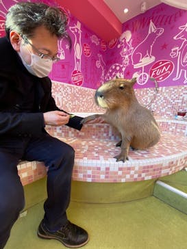 原宿かわいい動物園に投稿された画像（2021/2/1）