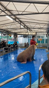 鳥羽水族館に投稿された画像（2021/2/1）