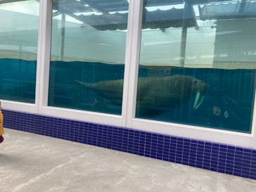 鳥羽水族館に投稿された画像（2021/2/1）