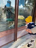 天王寺動物園に投稿された画像（2021/2/1）