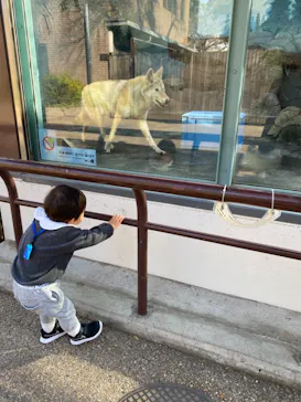 天王寺動物園に投稿された画像（2021/2/1）