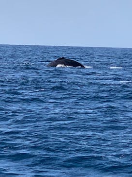 スカイウォーカーに投稿された画像（2021/2/1）