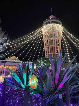 江の島シーキャンドルに投稿された画像（2021/2/2）