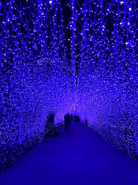 江の島シーキャンドルに投稿された画像（2021/2/2）