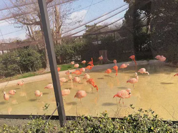 天王寺動物園に投稿された画像（2021/2/2）