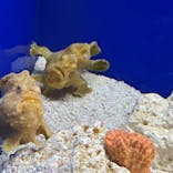 サンシャイン水族館に投稿された画像（2021/2/2）