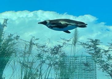 サンシャイン水族館に投稿された画像（2021/2/2）