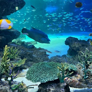 サンシャイン水族館に投稿された画像（2021/2/2）