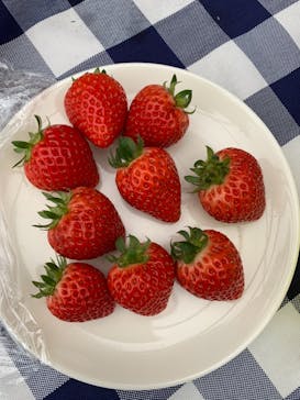 福田フルーツパークに投稿された画像（2021/2/2）