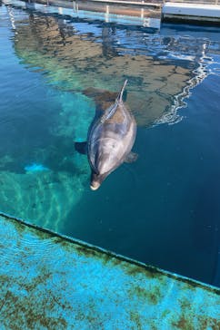 横浜・八景島シーパラダイスに投稿された画像（2021/2/2）
