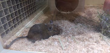 サンシャイン水族館に投稿された画像（2021/2/3）