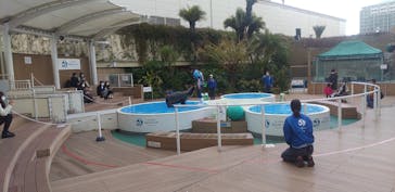 サンシャイン水族館に投稿された画像（2021/2/3）