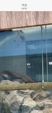 サンシャイン水族館に投稿された画像（2021/2/3）