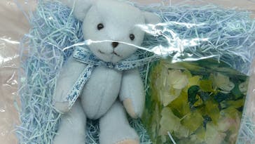 ずこうしつ〜sugamo〜に投稿された画像（2021/2/3）