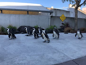 横浜・八景島シーパラダイスに投稿された画像（2021/2/4）