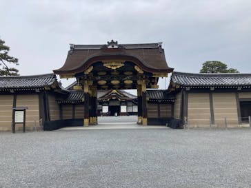 元離宮二条城に投稿された画像（2021/2/4）