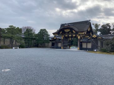 元離宮二条城に投稿された画像（2021/2/4）