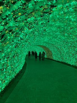 なばなの里に投稿された画像（2021/2/4）