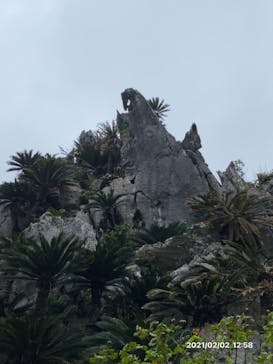 アスムイハイクスに投稿された画像（2021/2/5）