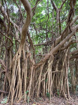 アスムイハイクスに投稿された画像（2021/2/5）