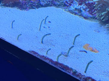 サンシャイン水族館に投稿された画像（2021/2/5）