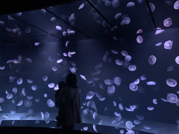 サンシャイン水族館に投稿された画像（2021/2/5）