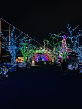 よみうりランド 遊園地に投稿された画像（2021/2/5）