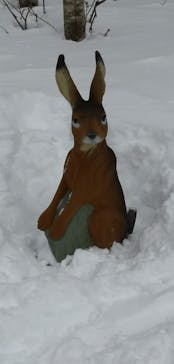 スプリングバレー仙台泉スキー場に投稿された画像（2021/2/5）