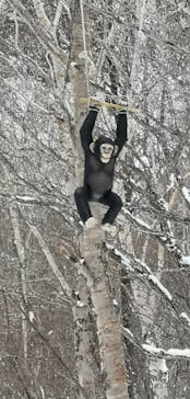 スプリングバレー仙台泉スキー場に投稿された画像（2021/2/5）